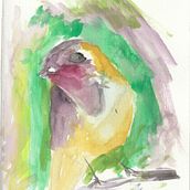 Meu projeto do curso: Técnicas expressivas de aquarela para ilustração de pássaros. Traditional illustration, Watercolor Painting, Realistic Drawing, and Naturalistic Illustration project by Juan Queiroz - 08.22.2021