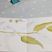 Mi Proyecto del curso: Cuaderno botánico en acuarela. Traditional illustration, Watercolor Painting, Botanical Illustration, and Sketchbook project by Marta Perez Galan - 08.23.2021