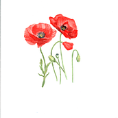 Meu projeto do curso: Ilustração botânica com aquarela. Traditional illustration, Fine Arts, Painting, Drawing, Watercolor Painting, and Botanical Illustration project by Margarida Martins - 08.23.2021