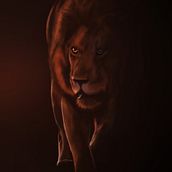My project in Naturalist Animal Illustration with Procreate course. Traditional illustration, Digital Illustration, Realistic Drawing, and Naturalistic Illustration project by megan_maple - 08.24.2021