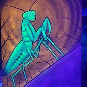 Mantis. Fine Arts project by Mike Degrazia - 01.31.2020