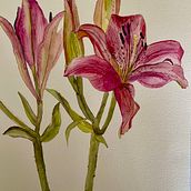 Meu projeto do curso: Aquarela botânica: ilustre a anatomia das flores. Un projet de Illustration traditionnelle, Beaux Arts, Peinture, Dessin, Aquarelle et Illustration botanique de Teresa Pereira - 23.08.2021