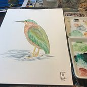 Mi Proyecto del curso: Ilustración naturalista de aves con acuarela. Traditional illustration, Watercolor Painting, Realistic Drawing, and Naturalistic Illustration project by Anamaria Cortes - 08.24.2021