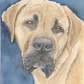 My project in Expressive Animal Portraits in Watercolor course. Projekt z dziedziny Tradycyjna ilustracja, Malowanie akwarelą, Rysunek realistyczny i Ilustracja naturalistyczna użytkownika rlferrier - 24.08.2021