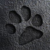 Meu projeto House Mix do Curso: Introdução à percussão: descubra a magia dos ritmos. Un projet de Musique , et Production musicale de Wallas Amorim - 23.08.2021