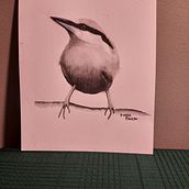 Monochromatic Nuthatch Watercolor Painting- Sarah Stokes Artistic Watercolor Technique. Watercolor Painting project by Donna Paulson - 08.24.2021