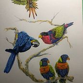 Parrots #2. Een project van Aquarelschilderen,  Beeldende kunst y Naturalistische illustratie van John Keselyak - 25.08.2021