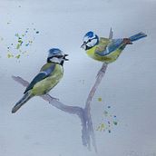 My project in Artistic Watercolor Techniques for Illustrating Birds course. Traditional illustration, Watercolor Painting, Realistic Drawing, and Naturalistic Illustration project by josephinetanton - 08.25.2021