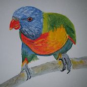 My project in Artistic Watercolor Techniques for Illustrating Birds course. Un proyecto de Ilustración tradicional, Pintura a la acuarela, Dibujo realista e Ilustración naturalista				 de Sally Cleary - 19.08.2021