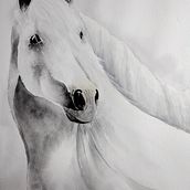 My project in Expressive Animal Portraits in Watercolor course. Un proyecto de Ilustración tradicional, Pintura a la acuarela, Dibujo realista e Ilustración naturalista				 de Carol Hofmann - 25.08.2021