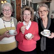 The Sugar Girls. Writing project by Duncan Barrett - 08.25.2021