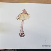 Il mio progetto del corso: Sketching quotidiano per potenziare la creatività . % Enrica Mazzarello tarafından hazırlanan Geleneksel illüstras, on, Eskiz çizimi, Yaratıcılık, Çizim, Ve Eskiz defteri projesi - 11.02.2022