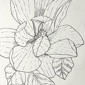 My project in Daily Sketching for Creative Inspiration course. Traditional illustration, Sketching, Creativit, Drawing, and Sketchbook project by Karen Lee - 08.26.2021