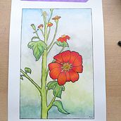 Tithonia, botanical illustration in watercolor. Un progetto di Illustrazione tradizionale, Belle arti, Disegno, Illustrazione botanica e Pittura ad acquerello di Marjolijn de Winter - 23.08.2021