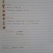 Meu projeto do curso: Bullet journal criativo: planejamento e criatividade . Un proyecto de Ilustración tradicional, Lettering, Dibujo, H y lettering de Nilza Ribeiro - 26.08.2021