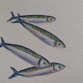 My project in Marine Universe Illustration in Watercolor course. Traditional illustration, Painting, Watercolor Painting, and Naturalistic Illustration project by sarah.addy - 08.12.2021