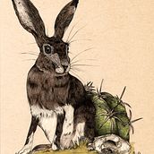 Mi Proyecto del curso: Ilustración naturalista con bolígrafo. Projekt z dziedziny Trad, c, jna ilustracja,  R, sunek, R, sunek realist, czn, Ilustracja naturalist i czna użytkownika Denise Gordillo - 26.08.2021