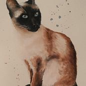 Siamese cat. Painting project by Celeste Delaney - 08.27.2021