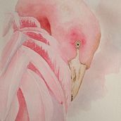 Flamingo feathers. Painting project by Celeste Delaney - 08.27.2021