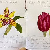 My project in Daily Sketching for Creative Inspiration course. Un proyecto de Ilustración tradicional, Bocetado, Creatividad, Dibujo y Sketchbook de Caitlin Walker Bruns - 27.08.2021