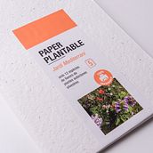 Paper Plantable. Museu Molí Paperer de Capellades. Design, and Photograph project by Anna Costa - 08.27.2021