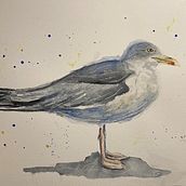 Mein Kursprojekt: Illustriere Vögel mit expressiven Aquarelltechniken. Ilustração tradicional, Pintura em aquarela, Desenho realista e Ilustração naturalista projeto de ernstsonja - 27.08.2021