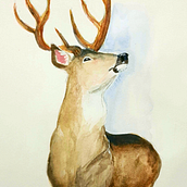 Stag Study  . Ilustrasi tradisional proyek oleh Angelina Bayer - 08.27.2021
