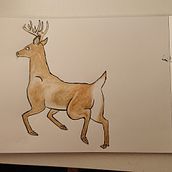 My project in Animal Illustration: Capturing Wildlife in a Sketchbook course. Traditional illustration, Collage, Sketchbook, and Naturalistic Illustration project by Samantha de Mattos - 08.28.2021