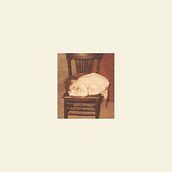 Resting cat, 1988. Esboçado projeto de Becky - 10.01.1988