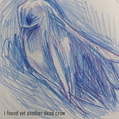My project in Short Story Writing: I found yet another dead crow. Writing, Creativit, Stor, telling, and Narrative project by jayriverking - 08.28.2021