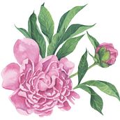 My project in Botanical Illustration with Watercolors course. Traditional illustration, Fine Arts, Painting, Drawing, Watercolor Painting, and Botanical Illustration project by k_nyckowska - 08.29.2021
