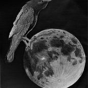 Muninn pe luna/Muninn on the moon. Drawing project by Andrei Cristian - 07.19.2021