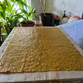 Elaboración artesanal de papel a partir de hojas de Ginkgo. Un progetto di Artigianato, Belle arti, Rilegatura e DIY di Marc Vila - 29.08.2021