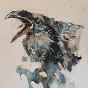 Rawen. Een project van Aquarelschilderen van René Blom - 29.07.2021