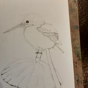 Kingfisher on Bent Lilypad. Projekt z dziedziny Trad, c i jna ilustracja użytkownika Nalda Paterson - 30.08.2021