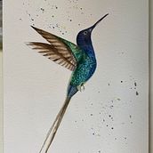 Colibrí en Acuarela. Traditional illustration project by Pilar Blasco Martínez - 08.23.2021