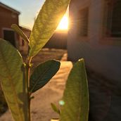 Mi Proyecto del curso: Fotografía profesional para Instagram. Photograph, Social Media, Mobile Photograph, Product Photograph, Instagram, Instagram Photograph, Lifest, and le Photograph project by Lucia Serrano - 08.30.2021