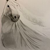 My project in Expressive Animal Portraits in Watercolor course . % Ellen Fuderanan tarafından hazırlanan Geleneksel illüstras, on, Sulubo, a Resim, Gerçekçi Çizim, Doğalcı İllüstras, Ve on projesi - 08.30.2021