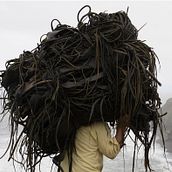 Muelle del Cochayuyo. Un proyecto de Arquitectura de Angel Arroyo Aguilar - 17.07.2018