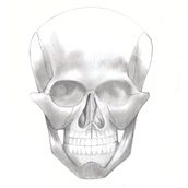 Curso: Dibujo anatómico de la cabeza humana - Bocetos de clases. Fine Arts, Pencil Drawing, Drawing, Portrait Drawing, Realistic Drawing, and Figure Drawing project by Chris Von Bremervoord - 08.30.2021