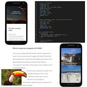 Mi Proyecto del curso: Layout web con CSS Grid, Flexbox y otras técnicas modernas. Web Design, Web Development, CSS, HTML, Programming, and Digital Product Design project by Daniel Franco - 08.31.2021