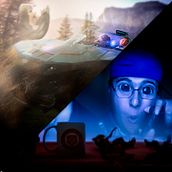 Gameing Dog. Un progetto di Pubblicità, Fotografia, Direzione artistica, Postproduzione fotografica, Ritocco fotografico, Illuminazione fotografica, Fotografia digitale e Fotografia artistica di Diego Somoza - 28.08.2021