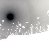 Alegrías de Sipí. Een project van Fotografie y Film, video en televisie van ADRIÁN QUINTERO - 31.08.2021