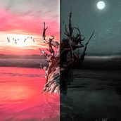 Mi Proyecto del curso: Fotomontaje mágico en Photoshop: crea metáforas visuales. Photograph, Post-production, Photo Retouching, Digital Photograph, Photographic Composition, and Photomontage project by javiergraullera - 08.31.2021