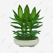Mi Proyecto del curso: Diseño y creación de composiciones botánicas Ein Projekt aus dem Bereich Dekoration von Innenräumen, DIY, Blumen- und Pflanzendesign, Innendesign, L und schaftsbau von german_beteta - 19.08.2021