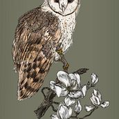 Mi Proyecto del curso: Ilustración naturalista con bolígrafo. Un proyecto de Ilustración tradicional, Dibujo, Dibujo realista e Ilustración naturalista				 de Olivia Fregoso - 27.08.2021
