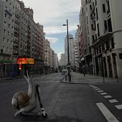 Mi Proyecto del curso: Fotomontaje mágico en Photoshop: crea metáforas visuales. Photograph, Post-production, Photo Retouching, Digital Photograph, Photographic Composition, and Photomontage project by Daniel Marcos Asensio - 09.01.2021