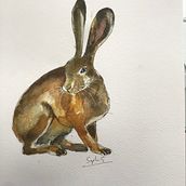 My project in Expressive Animal Portraits in Watercolor course. Traditional illustration, Watercolor Painting, Realistic Drawing, and Naturalistic Illustration project by Sophie - 09.01.2021