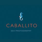 CABALLITO Sea Photography. Design, Br, ing, Identit, Graphic Design, and Logo Design project by Marta Pineda - 09.03.2021