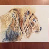 My 2nd project for Expressive Animal Portraits in Watercolor. Fine Arts, and Watercolor Painting project by Carol Gordon - 09.03.2021
